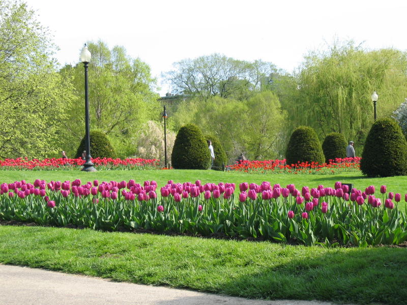 Garden.jpg