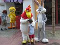 IMG_1965