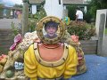 IMG_1975