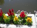 IMG_2024