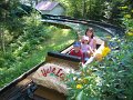IMG_2062
