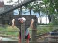 IMG_2082