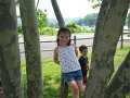 IMG_2519
