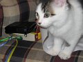 IMG_2575