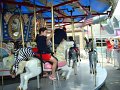 DSC00193
