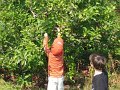 IMG_3165