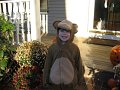 IMG_3229