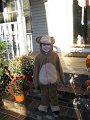 IMG_3230