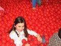 IMG_3281