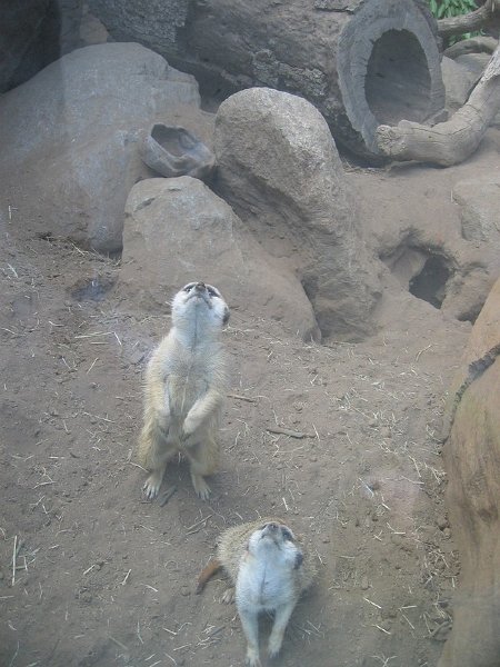 IMG_3475.jpg