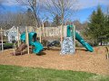 IMG_3343