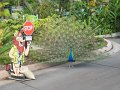 IMG_3419