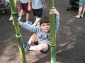 IMG_3420