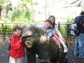 IMG_3425