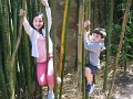 IMG_3432