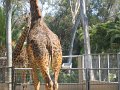 IMG_3443