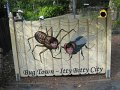 IMG_3458