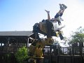 IMG_3498