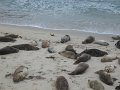 IMG_3503