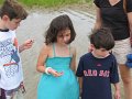 IMG_3579