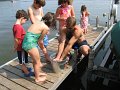 IMG_3556