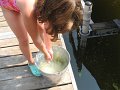 IMG_3558