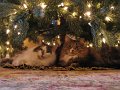 IMG_3781