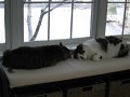 IMG_3879