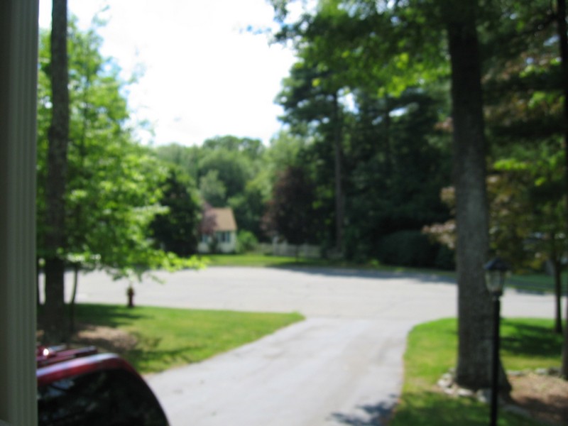 IMG_4012.jpg
