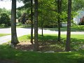 IMG_4010
