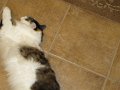 IMG_0004
