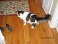 IMG_0020
