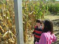 IMG_0065