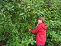IMG_0138