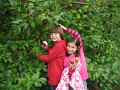 IMG_0141