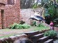 IMG_0474