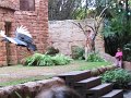 IMG_0476