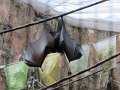 IMG_0485