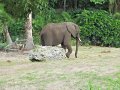 IMG_0548