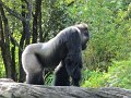 IMG_0582