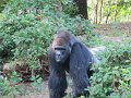 IMG_0589
