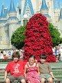 IMG_0646
