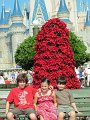 IMG_0647