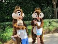 IMG_0745