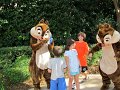 IMG_0746