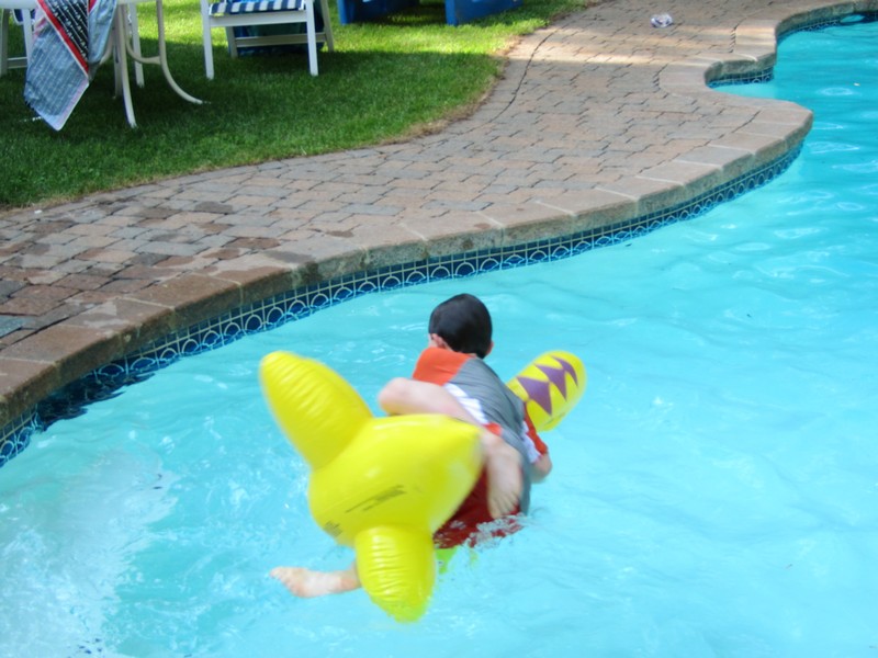 IMG_1201.jpg