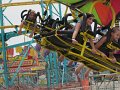 IMG_1319