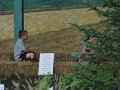 IMG_1324