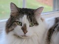 IMG_1682