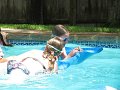 IMG_2115